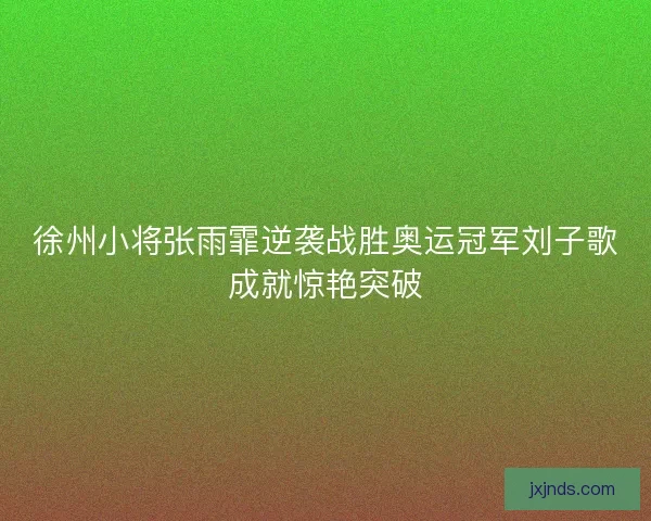 徐州小将张雨霏逆袭战胜奥运冠军刘子歌成就惊艳突破