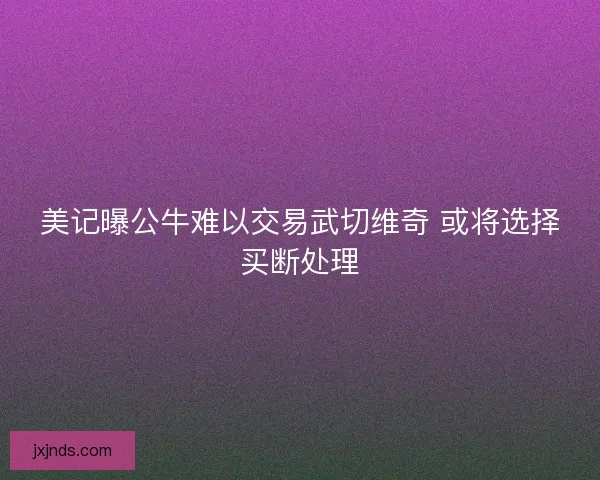 美记曝公牛难以交易武切维奇 或将选择买断处理